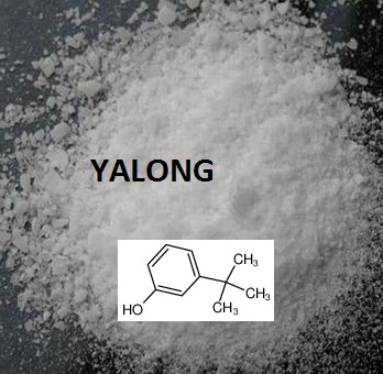 3-叔丁基苯酚