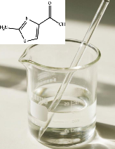 2-氨基噻唑-4-甲酸