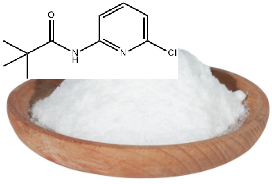 N-(6-CHLORO-PYRIDIN-2-YL)-2,2-DIMETHYL-PROPIONAMIDE