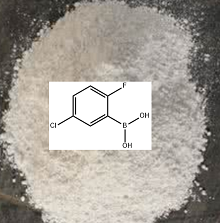 5-氯-2-氟苯硼酸