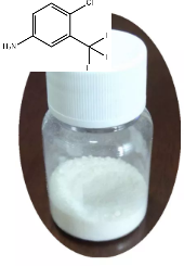 2-氯-5-氨基三氟甲苯