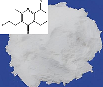 3-(2-氯乙基)-6,7,8,9-四氢-9-羟基-2-甲基-4H-吡啶并[1,2-a]嘧啶-4-酮