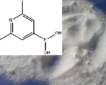 2,6-二甲基吡啶-4-硼酸