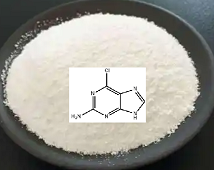 2-氨基-6-氯嘌呤