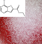 4-氯噻吩并[3,2-D]嘧啶-6-羧酸乙酯