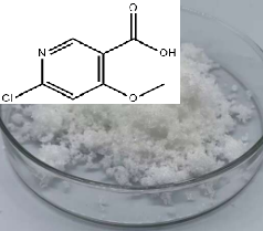 6-氯-4-甲氧基烟酸