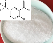 2-氯-5-三氟甲基吡啶-3-甲酸
