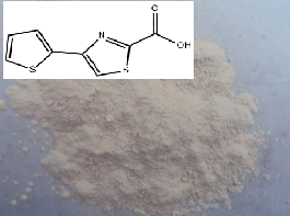 4-(2-噻吩)-2-噻唑羧酸