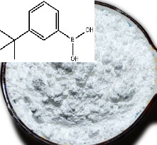 间丁基苯硼酸