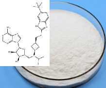 (2R,3R,4S,5R)-2-(6-氨基-9H-嘌呤-9-基)-5-((((1R,3S)-3-(2-(Chemicalbook6-(叔丁基)-1H-苯并[D]咪唑-2-基)乙基)环丁基)