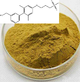 (2',6'-二甲基-4'-(3-(甲基磺酰基)丙氧基)联苯-3-基)甲醇