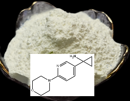 1-[6-(4-吗啉基)-3-吡啶基]环丙胺