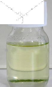 PEG-120 甲基葡糖二油酸酯