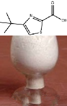 4-(叔丁基)噻唑-2-甲酸