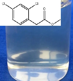 2,4-二氯苯乙酸甲酯