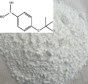 4-叔丁氧基苯硼酸