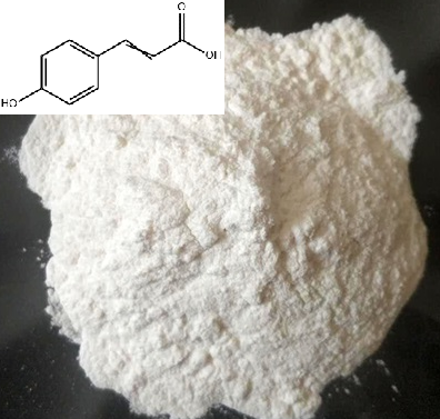 对羟基肉桂酸