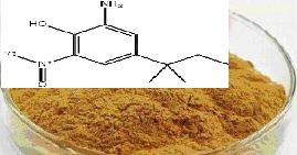 2-氨基-4-叔戊基-6-硝基苯酚