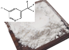 3-氯-5-三氟甲基吡啶