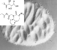 (3S)-3-氨基-2,3,4,5-四氢-2-氧代-1H-1-苯并氮杂卓-1-乙酸叔丁酯L-(+酒石酸盐(1:1)