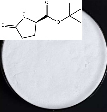 D-焦谷氨酸叔丁酯