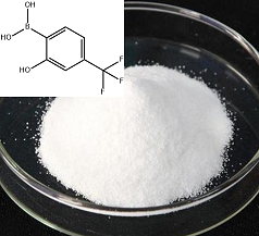 2-羟基-4-三氟甲基苯硼酸