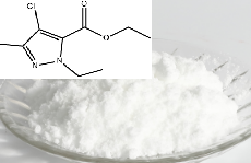 4-氯-3-乙基-1-甲基吡唑-5-羧酸乙酯