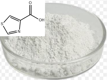 噻唑-4-甲酸