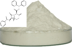 (2R,6R,7R)-7-(苯甲酰氨基)-3-亚甲基-8-氧代-5-氧杂-1-氮杂双环[4.2.0]辛烷-2-羧酸二苯甲基酯