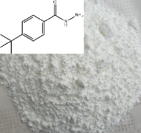 对叔丁基苯甲酰肼