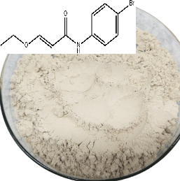 (2E)-N-(4-溴苯基)-3-乙氧基-2-丙烯酰胺