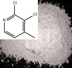 2,3-二氯-4-甲基吡啶