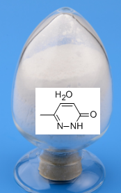 6-甲基-2,3-二氢吡嗪-3-酮水合物