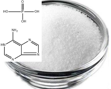 腺嘌呤磷酸盐
