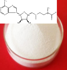 S-腺苷-L-蛋氨酸