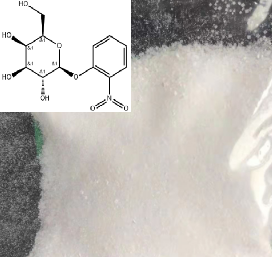 2-硝基苯-beta-D-半乳糖苷