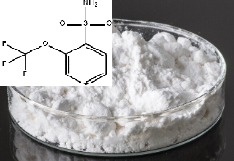 2-(三氟甲氧基)苯磺酰胺