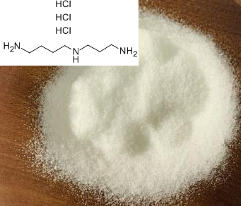 亚精胺盐酸盐