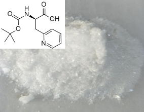 叔丁氧羰基-2-吡啶基-D-丙氨酸