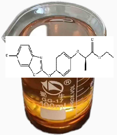 精恶唑禾草灵