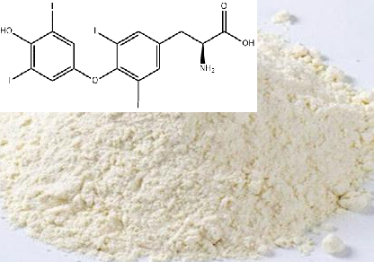 L-甲状腺素