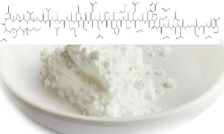 鲑降钙素