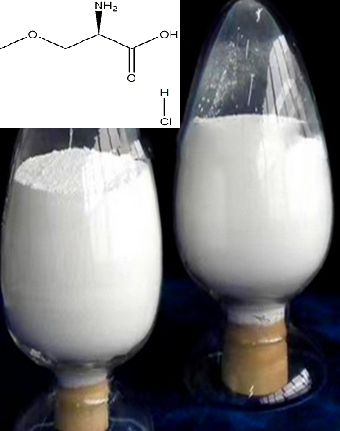 (R)-2-氨基-3-甲氧基丙酸盐酸盐