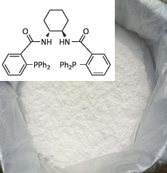 (1R,2R)-(+)-1,2-二胺基环己基-N,N'-双(2'-二苯基磷基苯甲酰)