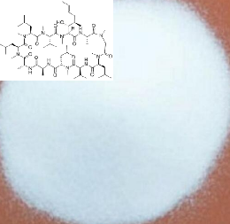 环孢菌素 B