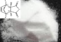 降冰片烯二酸酐