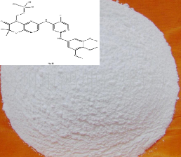 R788(FOSTAMATINIB DISODIUM)