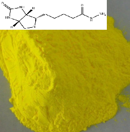 生物素酰肼