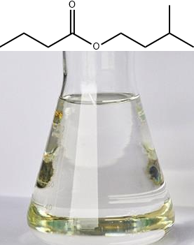 丁酸异戊酯