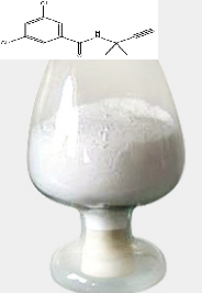 戊炔草胺